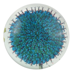 John Derian Decoupage Blue Flower