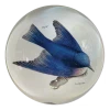 John Derian Pudgy (Bluebird) Decoupage