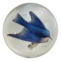 John Derian Pudgy (Bluebird) Decoupage