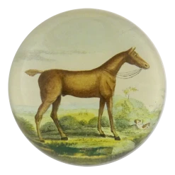 John Derian Brown Horse