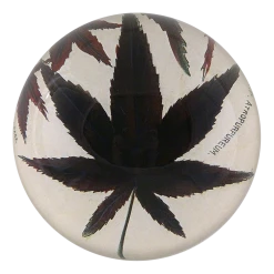 John Derian Decoupage Brown Maple