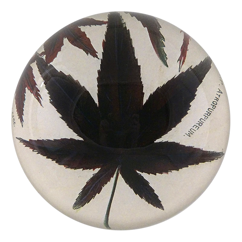 John Derian Decoupage Brown Maple 3 John Derian Decoupage Brown Maple