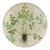 John Derian Decoupage Buta-muraria