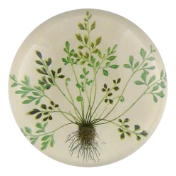 John Derian Decoupage Buta-muraria