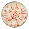 John Derian Company Inc Camellia Japonica Countess Of Derby - FINAL SALE Small Goods 2 John Derian Company Inc Camellia Japonica Countess Of Derby - FINAL SALE Small Goods