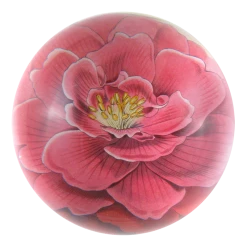 John Derian Camellia Decoupage