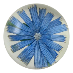 John Derian Company Inc Paperweights & Coasters Chicory