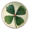 John Derian Decoupage Clover