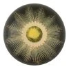 John Derian Eclipse II Decoupage