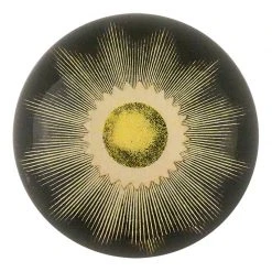 John Derian Eclipse II Decoupage