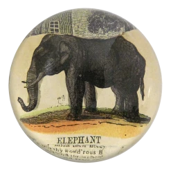 John Derian Elephant Collage