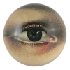 John Derian Eye (Right)