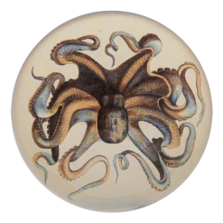 John Derian Octopus Decoupage