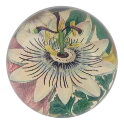 John Derian Passion Flower - FINAL SALE Classics