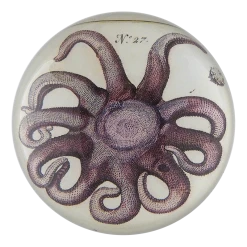 John Derian Purple Starfish