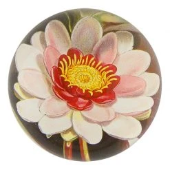 John Derian Rose Coloured Water Lily Decoupage