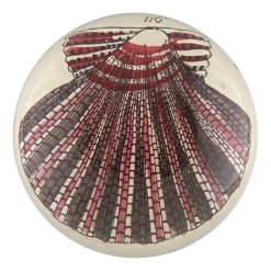 John Derian Decoupage Scallop 116