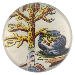 John Derian Sea Plant 356