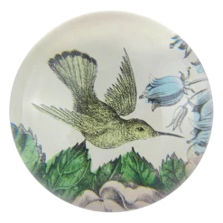 John Derian Decoupage Sepia Hummingbird