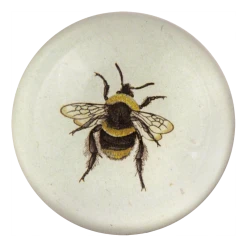 John Derian Decoupage Bee (Striped)