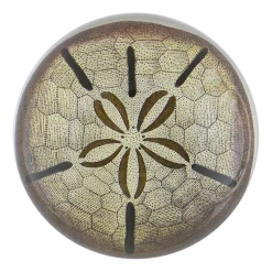 John Derian Decoupage Urchin Fig. 1