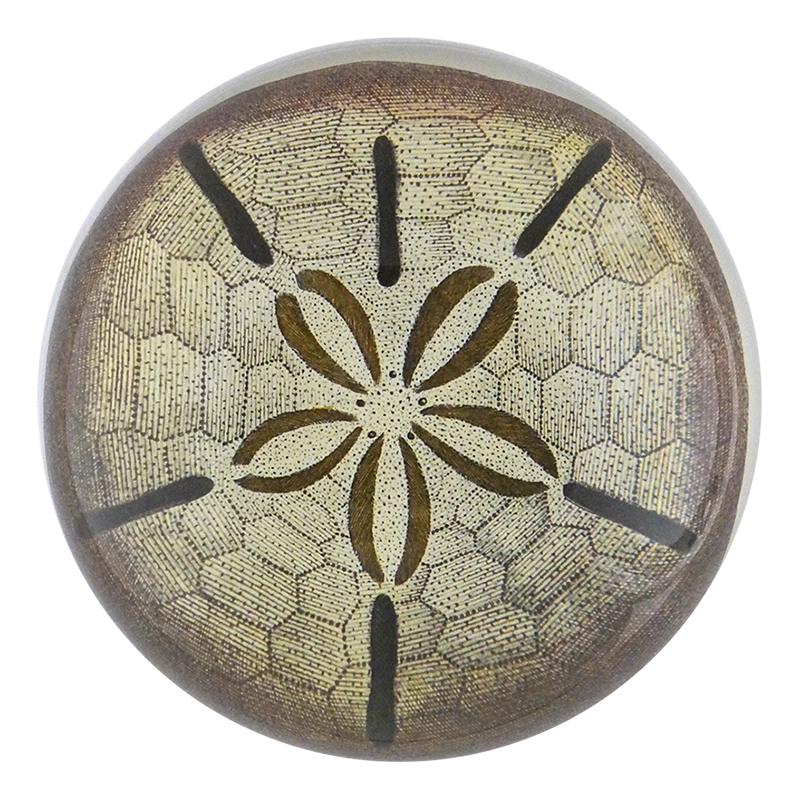 John Derian Decoupage Urchin Fig. 1 3 John Derian Decoupage Urchin Fig. 1