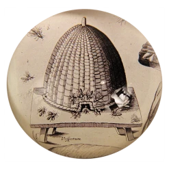 John Derian Apiarum (Beehive) Decoupage