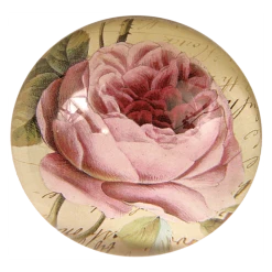John Derian Company Inc Cabbage Rose
