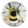 John Derian Decoupage Fuzzy Bee (Green Daisy)