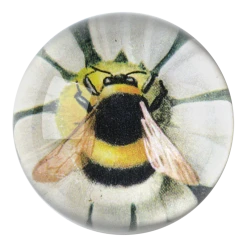 John Derian Decoupage Fuzzy Bee (Green Daisy)