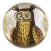 John Derian Owl