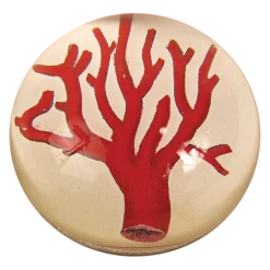 John Derian Decoupage Red Coral