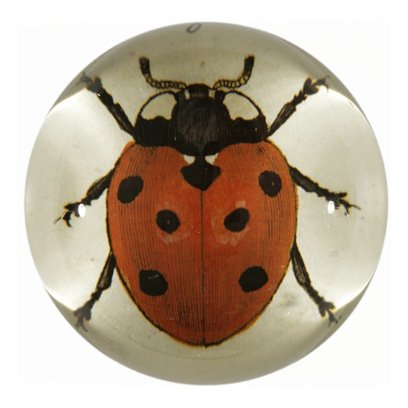 John Derian Red Ladybug 3 John Derian Red Ladybug