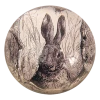 John Derian Sepia Rabbit Decoupage