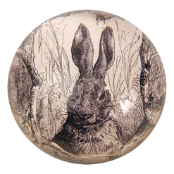 John Derian Sepia Rabbit Decoupage
