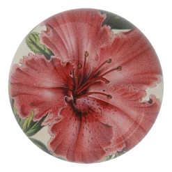 John Derian Azalea Indica - FINAL SALE