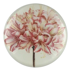 John Derian Decoupage Azalea Hardy