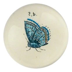 John Derian Butterfly 2b