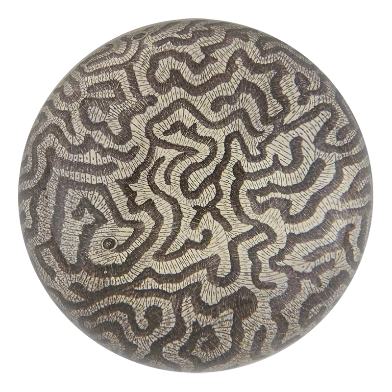 John Derian Decoupage Coral 1792 3 John Derian Decoupage Coral 1792