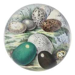 John Derian Decoupage Eggs 1858