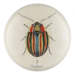 John Derian Decoupage English Bug
