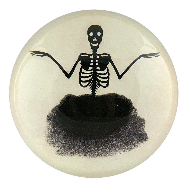 John Derian Floating Skeleton - FINAL SALE 3 John Derian Floating Skeleton - FINAL SALE