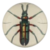 John Derian Decoupage Green Red Beetle (Lamia Tricincta)