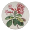 John Derian Hairy-leaved Rhododendron Decoupage