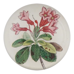 John Derian Hairy-leaved Rhododendron Decoupage
