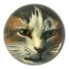John Derian Jack Cat Decoupage 1 John Derian Jack Cat Decoupage