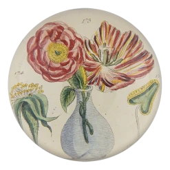 John Derian Loiq Decoupage