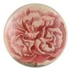 John Derian Malva (Chinese Rosea) Decoupage