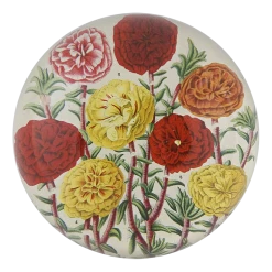 John Derian Moss Rose Purslane Decoupage