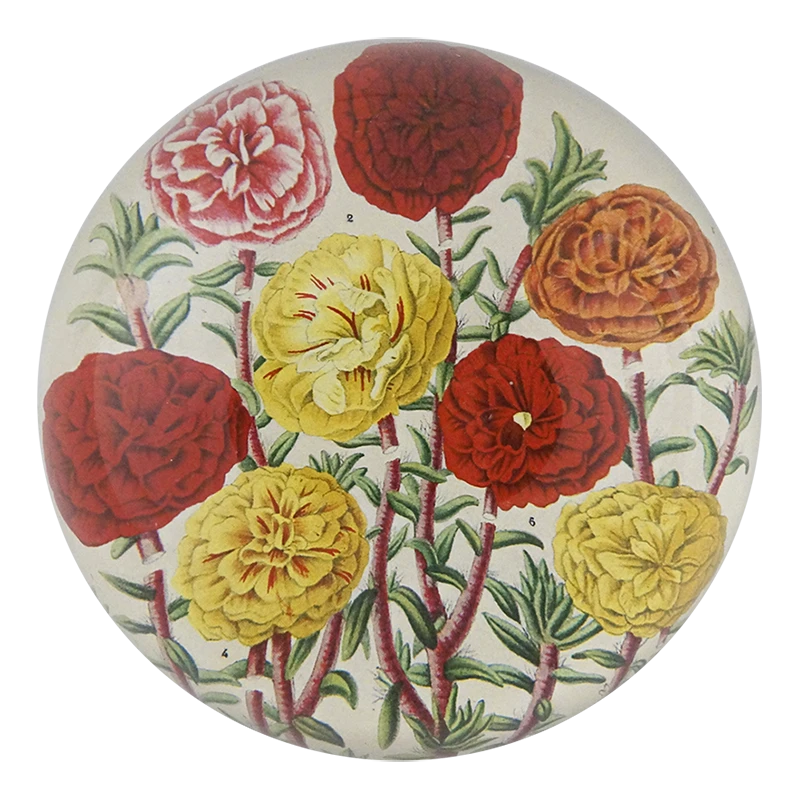 John Derian Moss Rose Purslane Decoupage 3 John Derian Moss Rose Purslane Decoupage